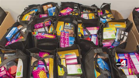 usana bag size